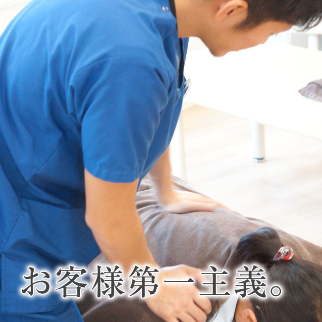 飯田橋接骨院|飯田橋・神楽坂で10年以上の施術実績の整骨院